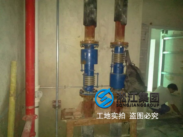 【橫琴總部大廈項(xiàng)目】采用淞江內(nèi)外壓平衡波紋補(bǔ)償器