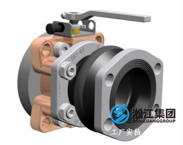 鍍鋅法蘭DN25橡膠接頭,各個(gè)環(huán)節(jié)正規(guī)透明