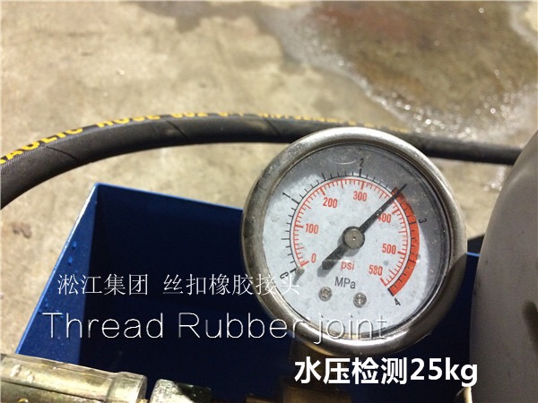 上海淞江,DN25、DN32絲扣雙球橡膠軟連接多少錢